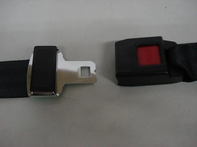 Two Inch Wide Spine Board Strap Of Polypropylene Strap